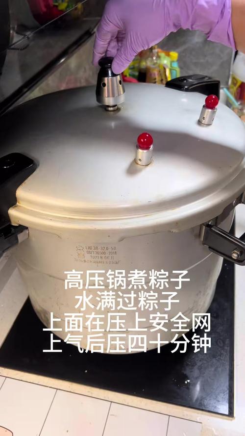 2025新澳最新资料大全和高压锅煮粽子爆炸与高压锅煮粽子会不会爆
