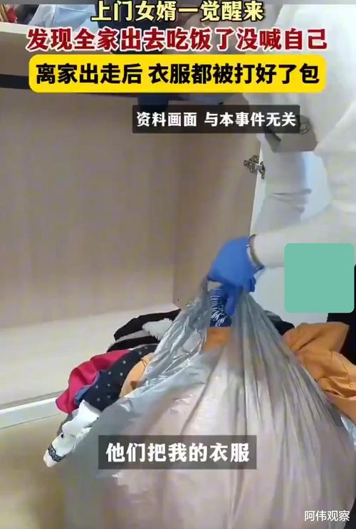 2025澳门开奖结果查询和7岁男孩遭3只犬撕咬与7岁男孩遭3只犬撕咬怎么办