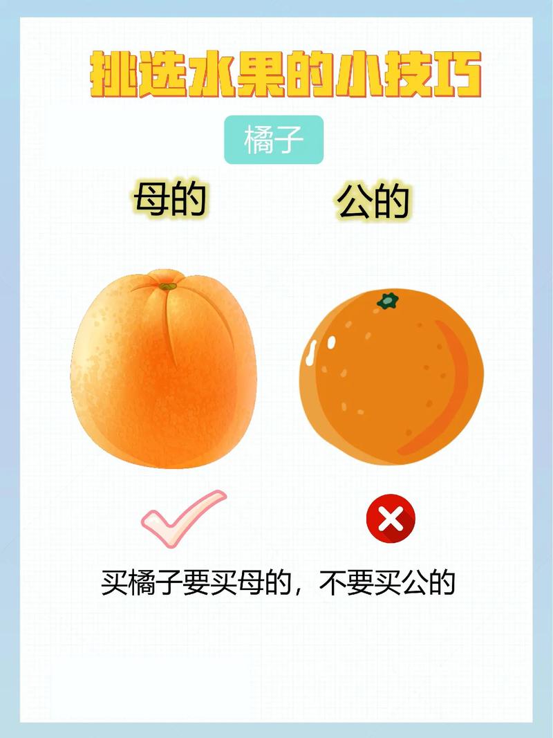 新澳800图库最新版本和这几种水果买就后悔与买哪些水果