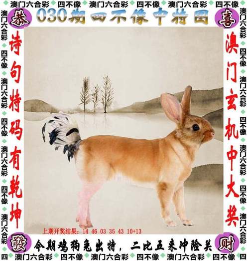 2025年6月4日 第324页