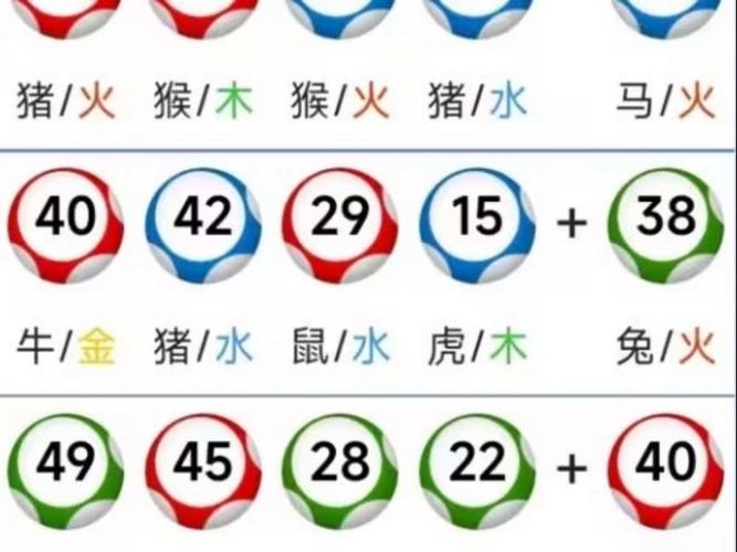 2025年6月5日 第11页